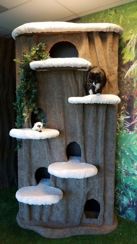 96 inch cat condo Clearance